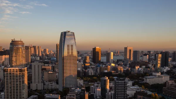 Vista del paisaje urbano de Tokio —  Fotos de Stock