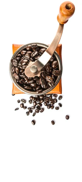 Coffee Bean And Coffee Mill — Stock Photo, Image