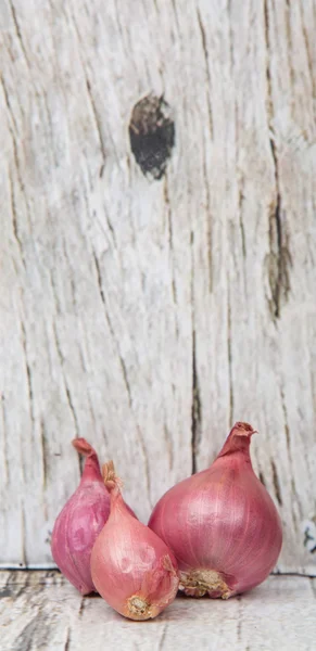 Chalotas em fundo de madeira — Fotografia de Stock