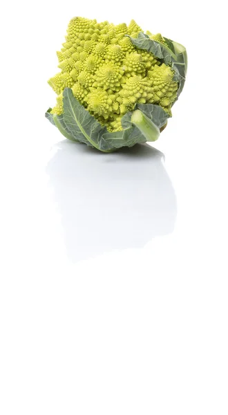 Romanesco brokolice nebo květák Roman — Stock fotografie