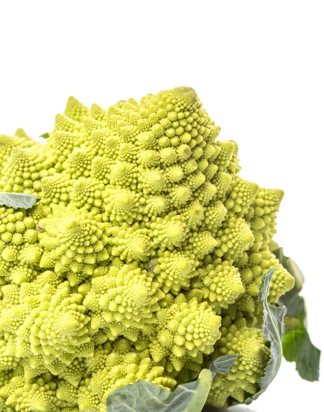 Romanesco μπρόκολο ή κουνουπίδι Ρωμαϊκή — Φωτογραφία Αρχείου