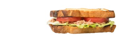 Tost ton balıklı sandviç