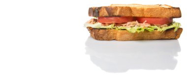 Tost ton balıklı sandviç