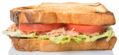 Tost ton balıklı sandviç