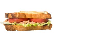 Tost ton balıklı sandviç