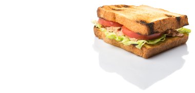 Tost ton balıklı sandviç