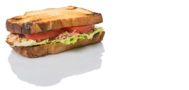 Tost ton balıklı sandviç