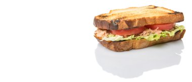 Tost ton balıklı sandviç