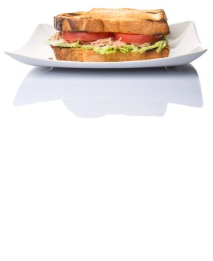 Tost ton balıklı sandviç