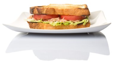 Tost ton balıklı sandviç