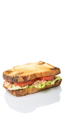 Tost ton balıklı sandviç