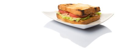 Tost ton balıklı sandviç