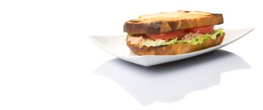 Tost ton balıklı sandviç