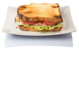 Tost ton balıklı sandviç