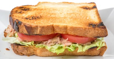 Tost ton balıklı sandviç