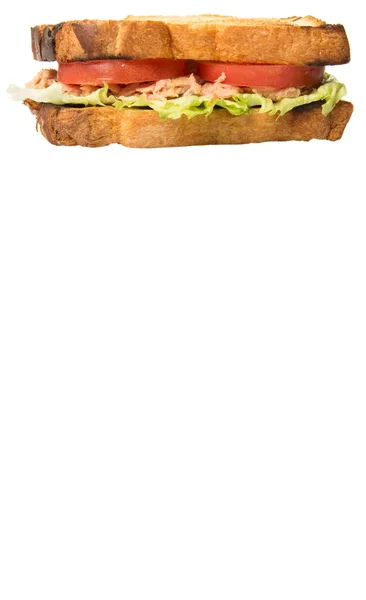 Tost ton balıklı sandviç — Stok fotoğraf