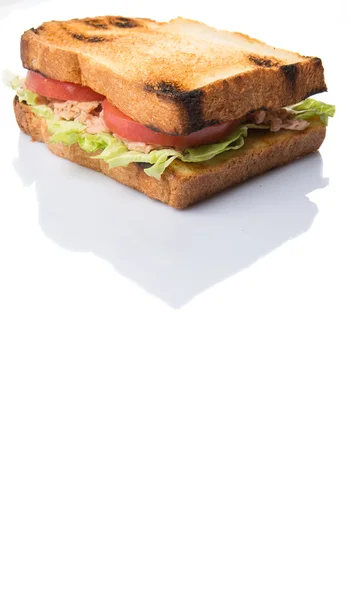 Toasted Tuna Sandwich — Stock Photo, Image