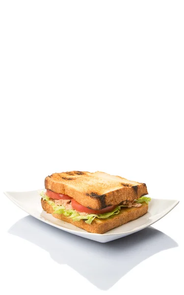 Getoastetes Thunfisch-Sandwich — Stockfoto