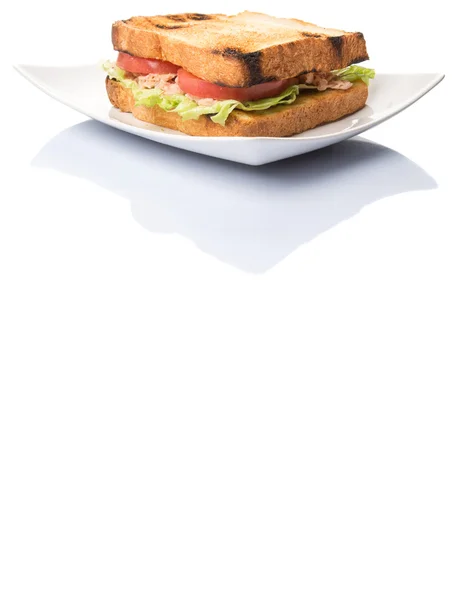 Getoastetes Thunfisch-Sandwich — Stockfoto