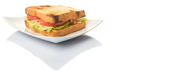 Tosty tuńczyka Sandwich — Zdjęcie stockowe