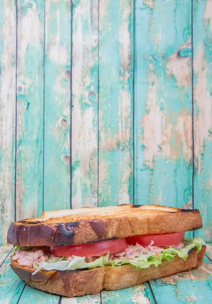 Sandwich de atún tostado — Foto de Stock