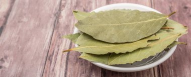 Defne yaprağı bir demet