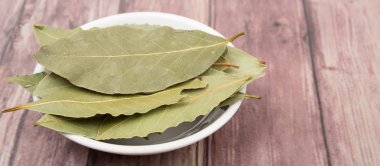 Defne yaprağı bir demet