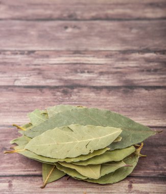 Defne yaprağı bir demet