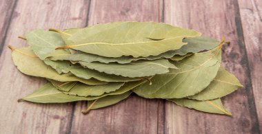 Defne yaprağı bir demet