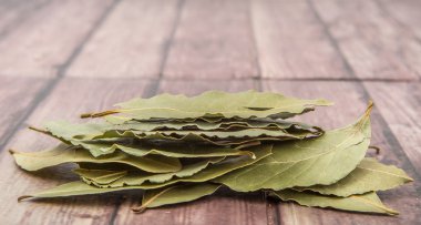 Defne yaprağı bir demet