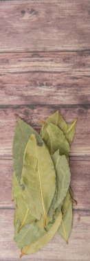 Defne yaprağı bir demet