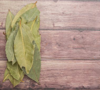 Defne yaprağı bir demet