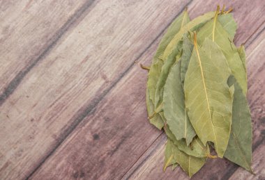 Defne yaprağı bir demet