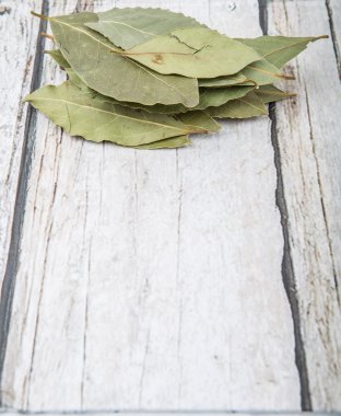 Defne yaprağı bir demet