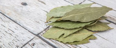 Defne yaprağı bir demet