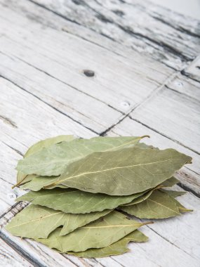 Defne yaprağı bir demet