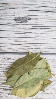 Defne yaprağı bir demet