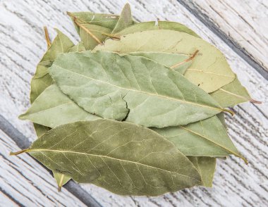 Defne yaprağı bir demet