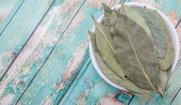 Defne yaprağı bir demet