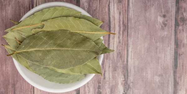 Defne yaprağı bir demet