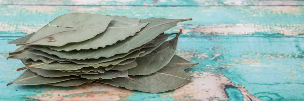 Un ramo de hojas de bahía — Foto de Stock
