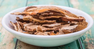 kurutulmuş porçini mantarı