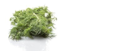 Otlar dereotu yaprakları