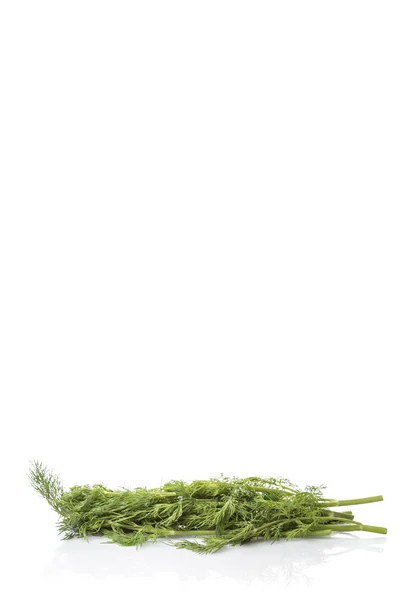 Dill blättert Kräuter — Stockfoto