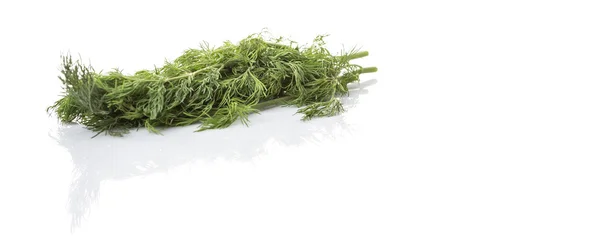 Dill blättert Kräuter — Stockfoto