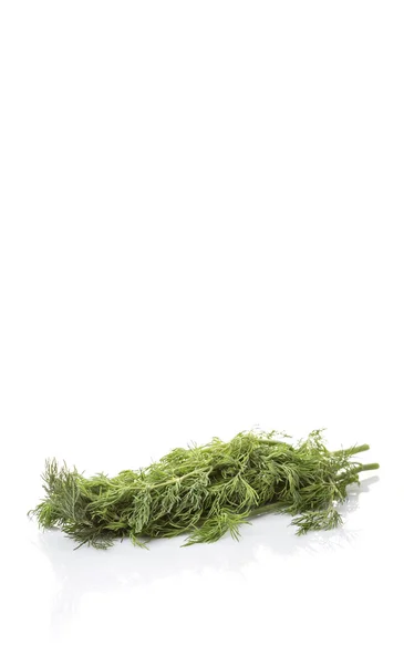 Dill blättert Kräuter — Stockfoto