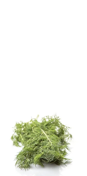 Dill blättert Kräuter — Stockfoto