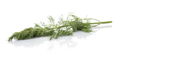 Dill blättert Kräuter — Stockfoto