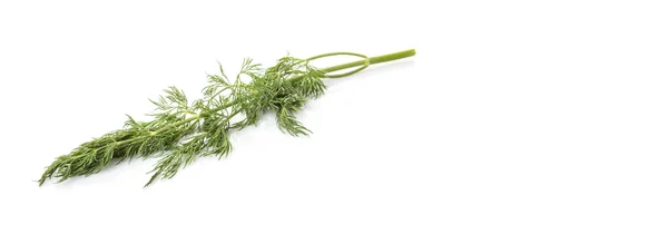 Dill blättert Kräuter — Stockfoto