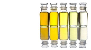 Bitkisel yağ çeşitli